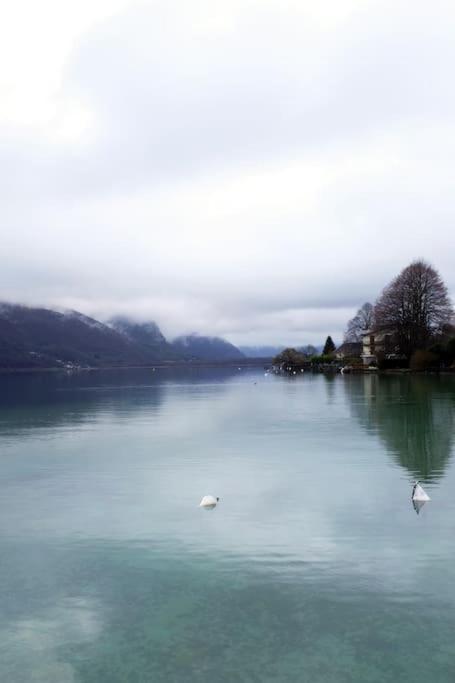Coconlagon Serenite Au Lac D'Annecy Doussard Exteriör bild
