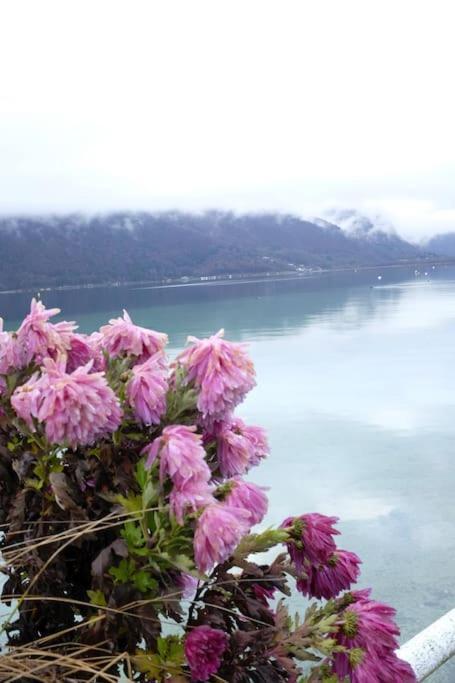 Coconlagon Serenite Au Lac D'Annecy Doussard Exteriör bild